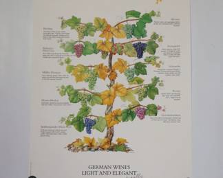 German wines grape varieties poster