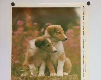 Color print poster of photograph of two puppies