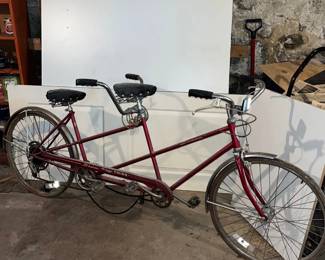 Schwinn De Luxe Twinn Bike