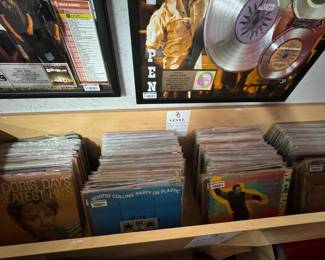 HUGE DJ Collection of well over 500 Vinyl albums.  All genres from Hip Hop to Jazz and everything in between.