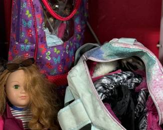 Doll and tons of accessories.  All are included as a bundle.