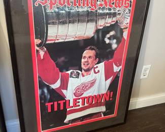 Detroit Red Wing Art