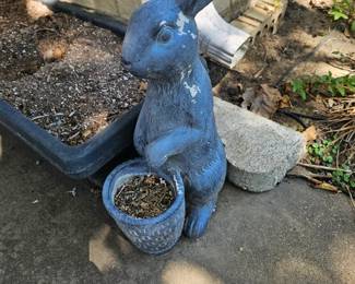 Garden Bunny