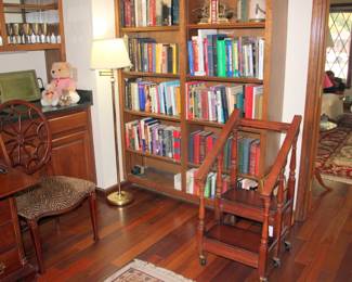 Pulaski Library Steps