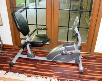Exerpeutic Recumbent Bike