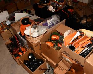 1041Basement