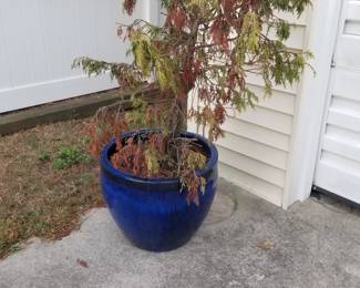 Large planter - two available