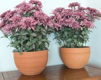 Lot #116 - Artificial Pink Chrysanthemums in Terracotta Pots