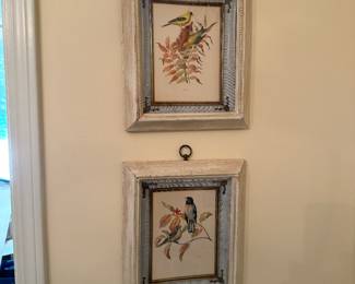 Bird pictures