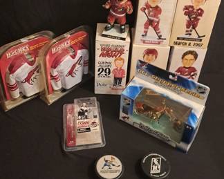 Coyotes Hockey Collection 