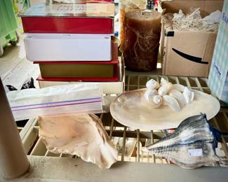 Seashells and starfish