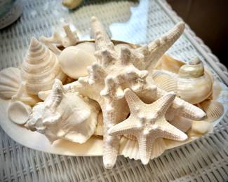Seashell art