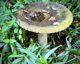 Bird bath