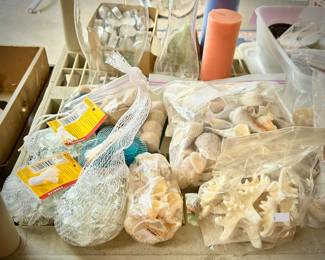 Seashells and starfish