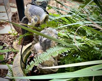 Outdoor statues and art