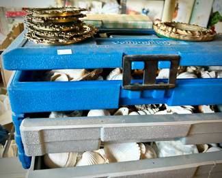 Seashells and starfish