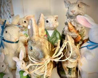 Rabbit/bunny collection