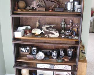 Vintage Display Case - Glass doors Opened 