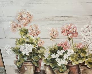 Geraniums.