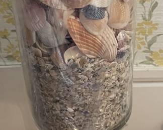 Vase filled with shells.