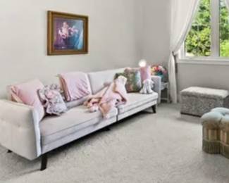 Beautiful Velvet Sofa that transforms into a bed 