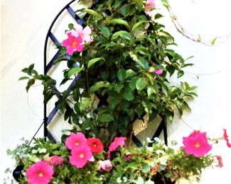 Wrought Iron Wall Planter