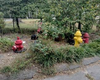 Fire hydrants