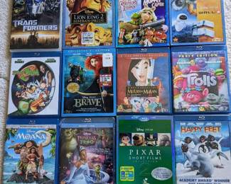 WST004-DVD Entertainment For Everyone