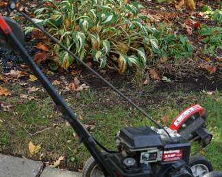 Lawn edger - clean and tested working great !