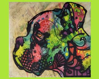 One of 3 Psychedelic Pillow Covers 