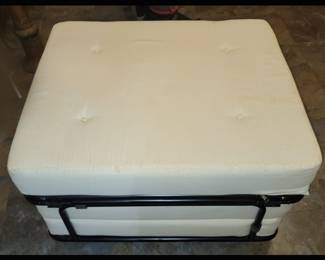 Folding Cot or Day Bed