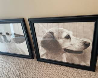dog prints - framed - set of 4 available