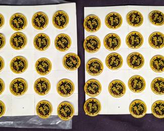 LOST IN SPACE convention pins