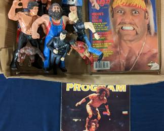 Wrestling / WWF Toys and Program