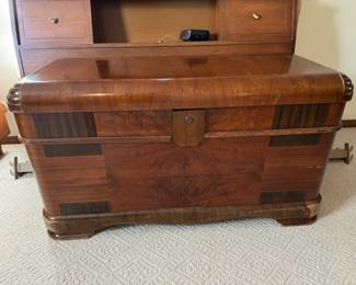 trunk/chest
