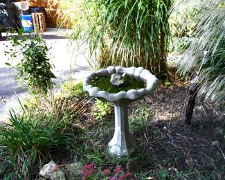 073Some Highlights Custer Park