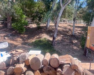 Tons of firewood 