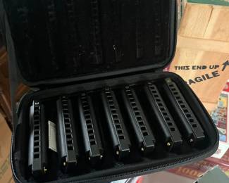 Blues Harmonica AKLOT Set 