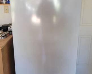 Fridgidaire  Freezer 2 Years Old