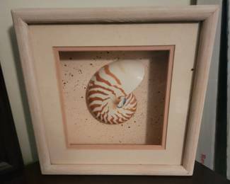 Shell Art