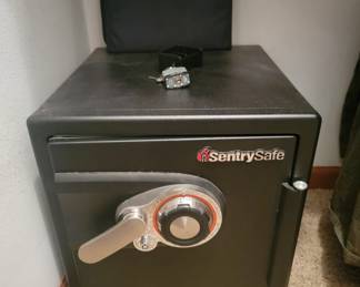 Sentry Safe