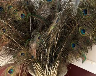 Peacock feathers and plant stand