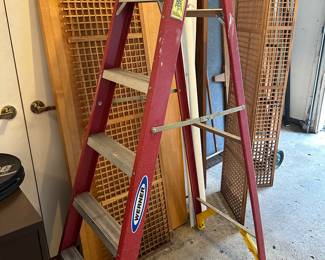 6 ft Werner Ladder