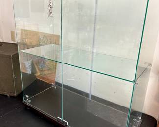 Glass case that locks 