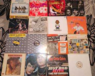 A great vinyl collection at this estate