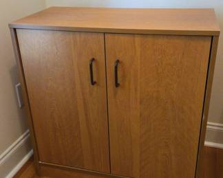 Medium Color Enclosed 2 Shelf Storage Unit