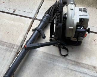 Echo Backpack Blower