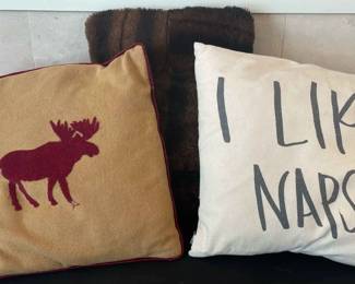 Three Throw Pillows 