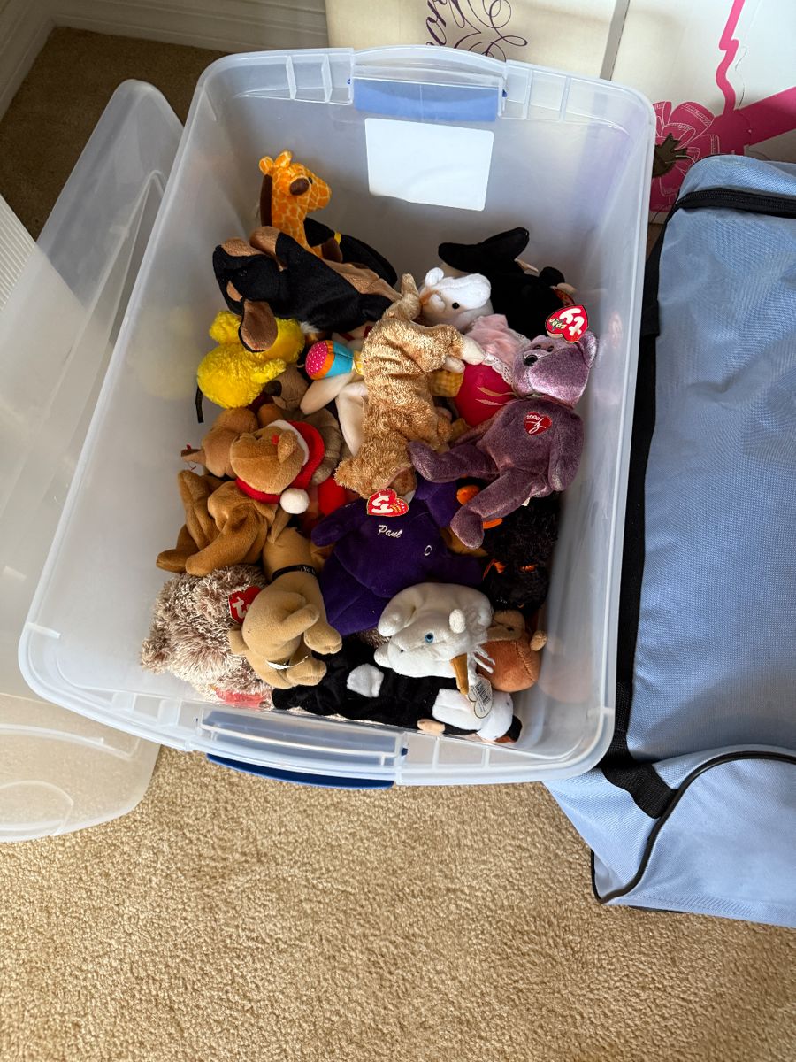 Land O Lakes treasure house starts on 10/4/2024