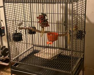 Large parrot cage